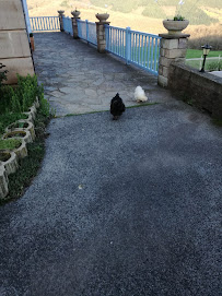 Photo n° 1 de l'avis de Serge Cassilde fait le 25/04/2018