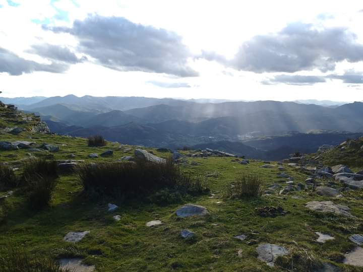 Photo n° 4 de l'avis de ccw.5 fait le 07/02/2024 à 18:49