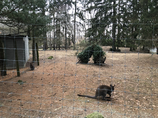 Zoo «Trevor Zoo at Millbrook School», reviews and photos, 282 Millbrook School Rd, Millbrook, NY 12545, USA