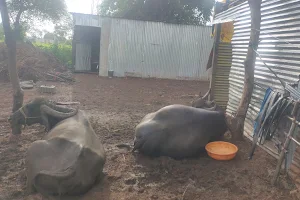 Rajasthani Dhaba image