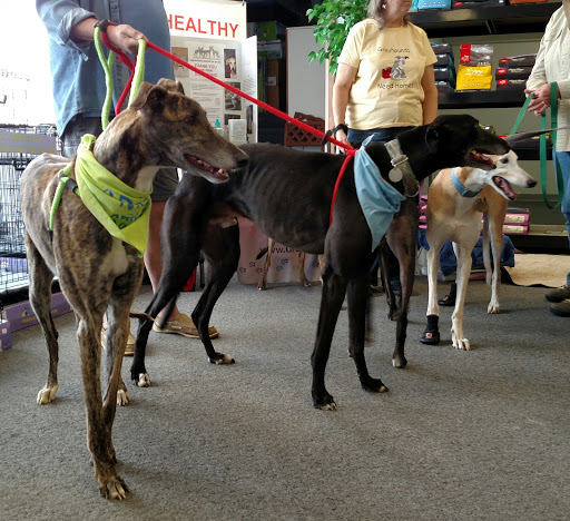 Pet Supply Store «Healthy Pet Center», reviews and photos, 775 New Loudon Rd, Latham, NY 12110, USA