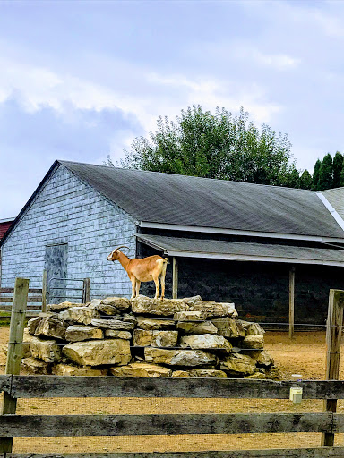Orchard «Barton Orchards - Noxon Road Store Open Year Round - The Farm is CLOSED for the Season.», reviews and photos, 63 Apple Tree Ln, Poughquag, NY 12570, USA