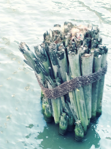 Opera House «Civic Opera House», reviews and photos, 20 N Wacker Dr # 400, Chicago, IL 60606, USA