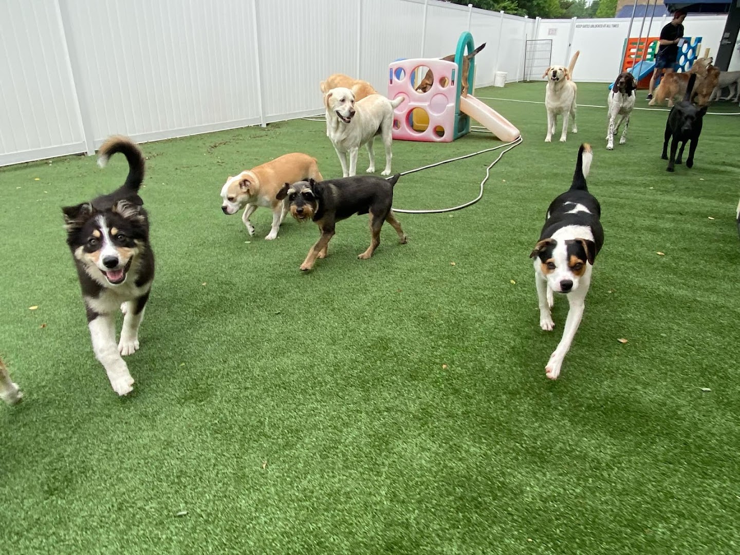 4 Legged Friends Pet Lodging and Daycare