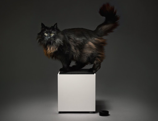 Electronics Store «Dijital Fix», reviews and photos, 820 Valencia St, San Francisco, CA 94110, USA