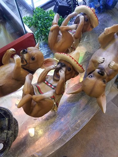 Pet Store «Fish-N-Pets Unlimited», reviews and photos, 11710 Bissonnet St, Houston, TX 77099, USA