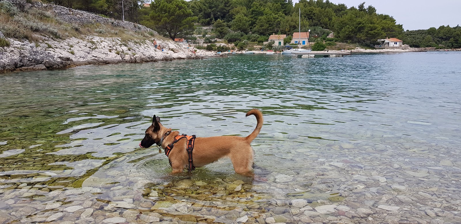 Valdarke Dog Beach'in fotoğrafı küçük bir koy ile birlikte