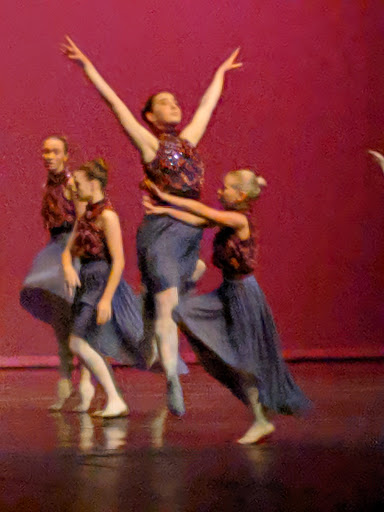 Performing Arts Theater «Jane Tasch Performing Arts Theatre», reviews and photos, 2100 E Michigan 36, Pinckney, MI 48169, USA