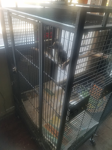 Pet Store «Wildside Pets», reviews and photos, 1042 N Higley Rd #105, Mesa, AZ 85205, USA