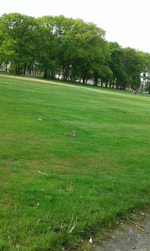 Memorial Park «John Russell Wheeler Park», reviews and photos, US-1, Linden, NJ 07036, USA