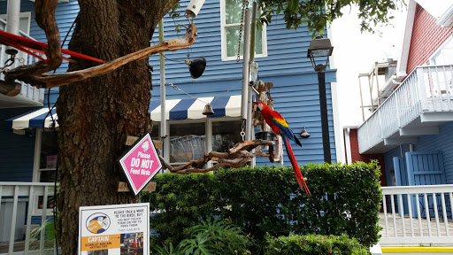 Ice Cream Shop «Salty Dog Ice Cream Factory», reviews and photos, 232 S Sea Pines Dr #304, Hilton Head Island, SC 29928, USA