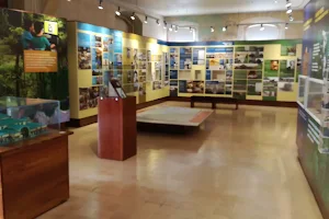 San Ramon Regional Museum image