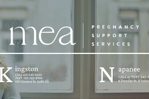 Mea Centre: Pregnancy Support Services image