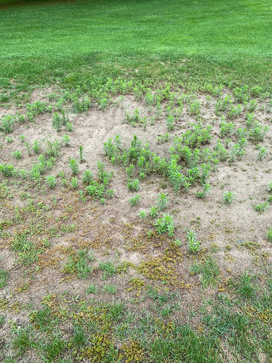 Golf Course «Kingston Fairways Golf Club», reviews and photos, 65 Depot Rd, Kingston, NH 03848, USA