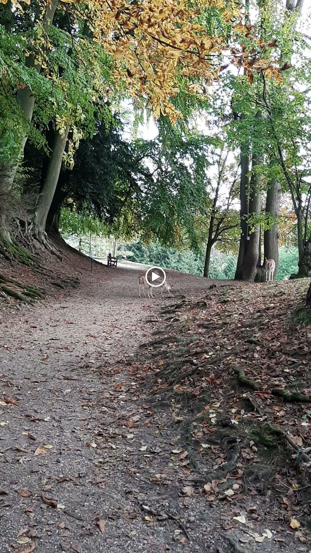 Photo n° 2 de l'avis de Alain.i fait le 07/11/2023 à 12:38