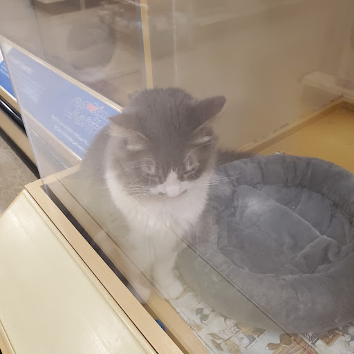 Pet Supply Store «PetSmart», reviews and photos, 2901 Texas Sage Trail, Fort Worth, TX 76177, USA