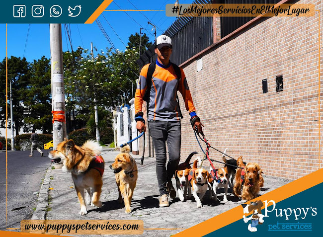 Puppy's Pet Services - Quito