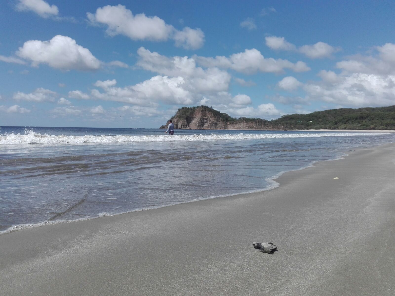 Foto de Playa La Flor zona salvaje