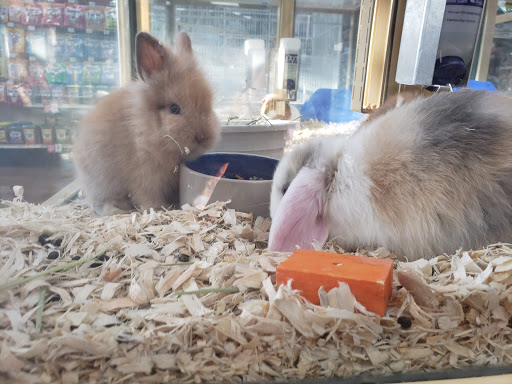 Pet Supermarket