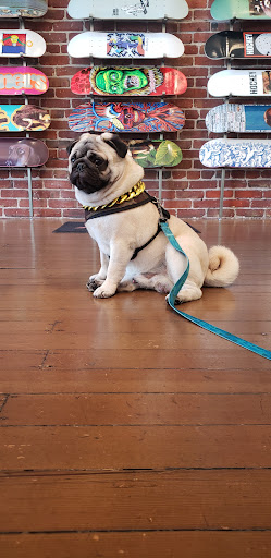 Skateboard Shop «Atlas Skateboard Store», reviews and photos, 209 2nd Ave, San Mateo, CA 94401, USA