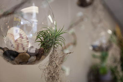 Florist «Centerville Florists», reviews and photos, 209 N Main St, Centerville, OH 45459, USA