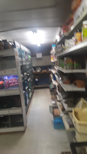 Tropical Fish Store «Midway Tropical Fish & Pets», reviews and photos, 24101 Pacific Hwy S, Kent, WA 98032, USA