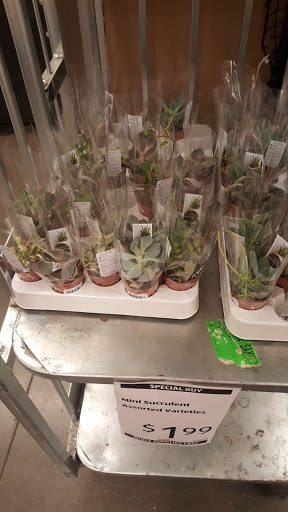 Supermarket «ALDI», reviews and photos, 1725 W Loop 281, Longview, TX 75604, USA