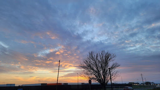 Produce Market «Yolo Fruit Stand», reviews and photos, 46710 Co Rd 32B, Davis, CA 95618, USA