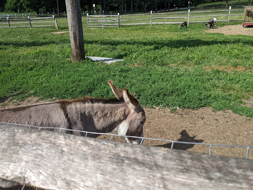 Farm «Alstede Farms», reviews and photos, 1 Alstede Farms Ln, Chester, NJ 07930, USA