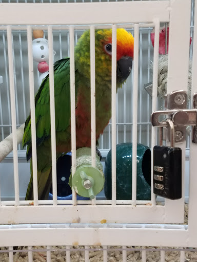 Pet Supply Store «Pet Supplies Plus», reviews and photos, 500 S St W, Raynham, MA 02767, USA