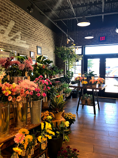 Grocery Store «Brothers Marketplace», reviews and photos, 446 Main St, Medfield, MA 02052, USA