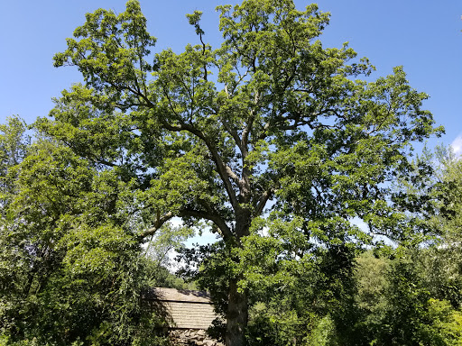 Museum «The Old Manse», reviews and photos, 269 Monument St, Concord, MA 01742, USA