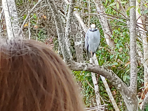 Boat Tour Agency «River Lilly Cruises», reviews and photos, 500 E Prima Vista Blvd, Port St Lucie, FL 34983, USA