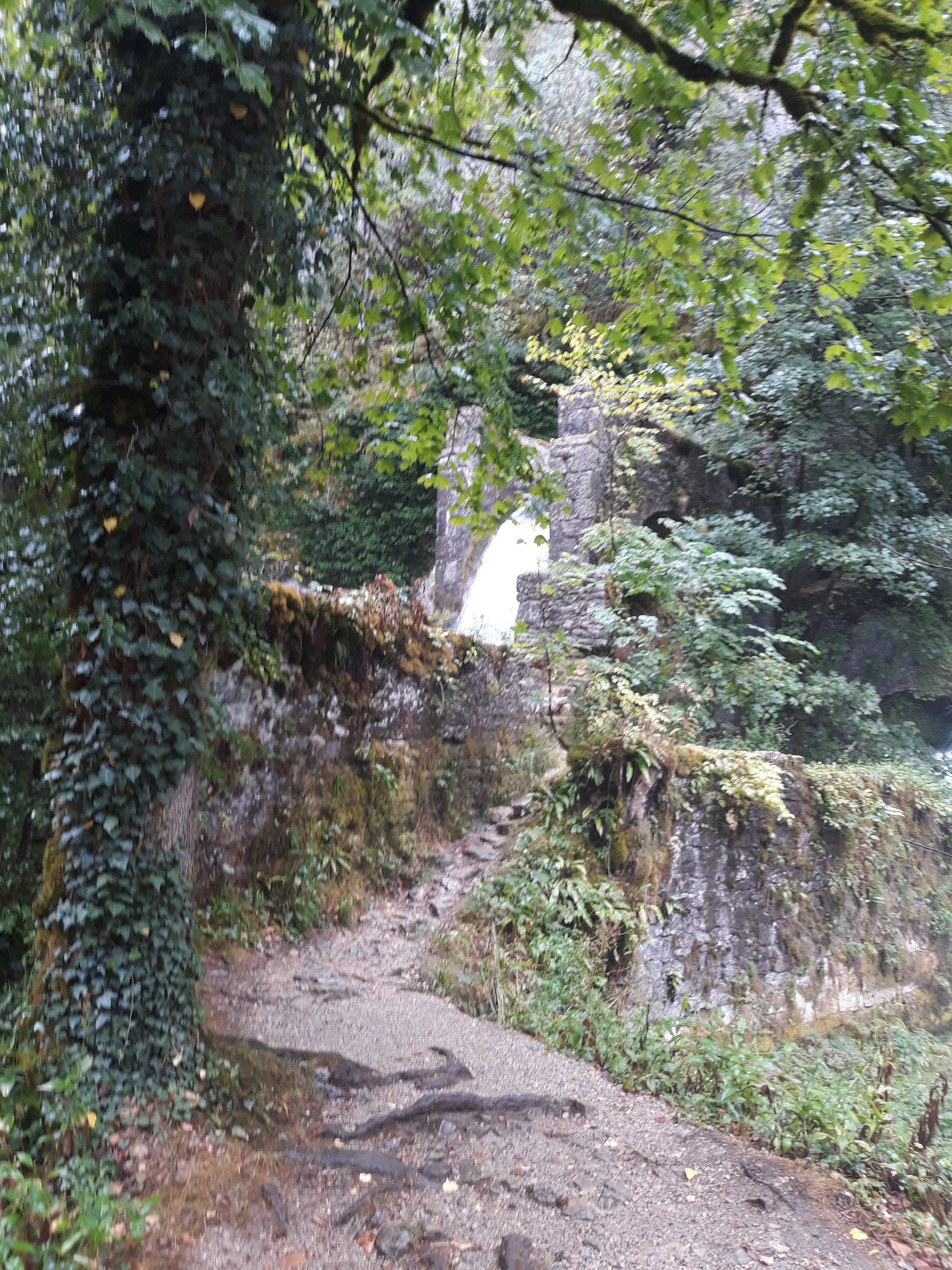 Photo n° 13 de l'avis de leonat.5 fait le 15/08/2018 à 11:34