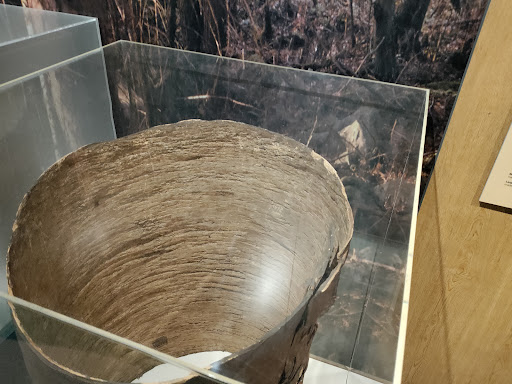 Historical Society «Connecticut Historical Society Museum and Library», reviews and photos, 1 Elizabeth St, Hartford, CT 06105, USA