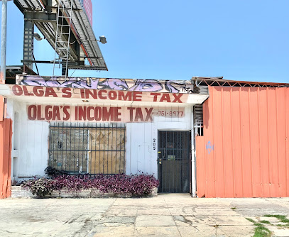 Olgas Income Tax