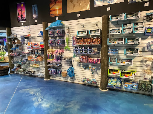 Aquarium «Via Aquarium», reviews and photos, 93 W Campbell Rd, Schenectady, NY 12306, USA