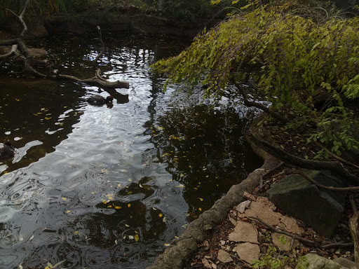 Zoo «The Maryland Zoo in Baltimore», reviews and photos, 1 Safari Place, Baltimore, MD 21217, USA