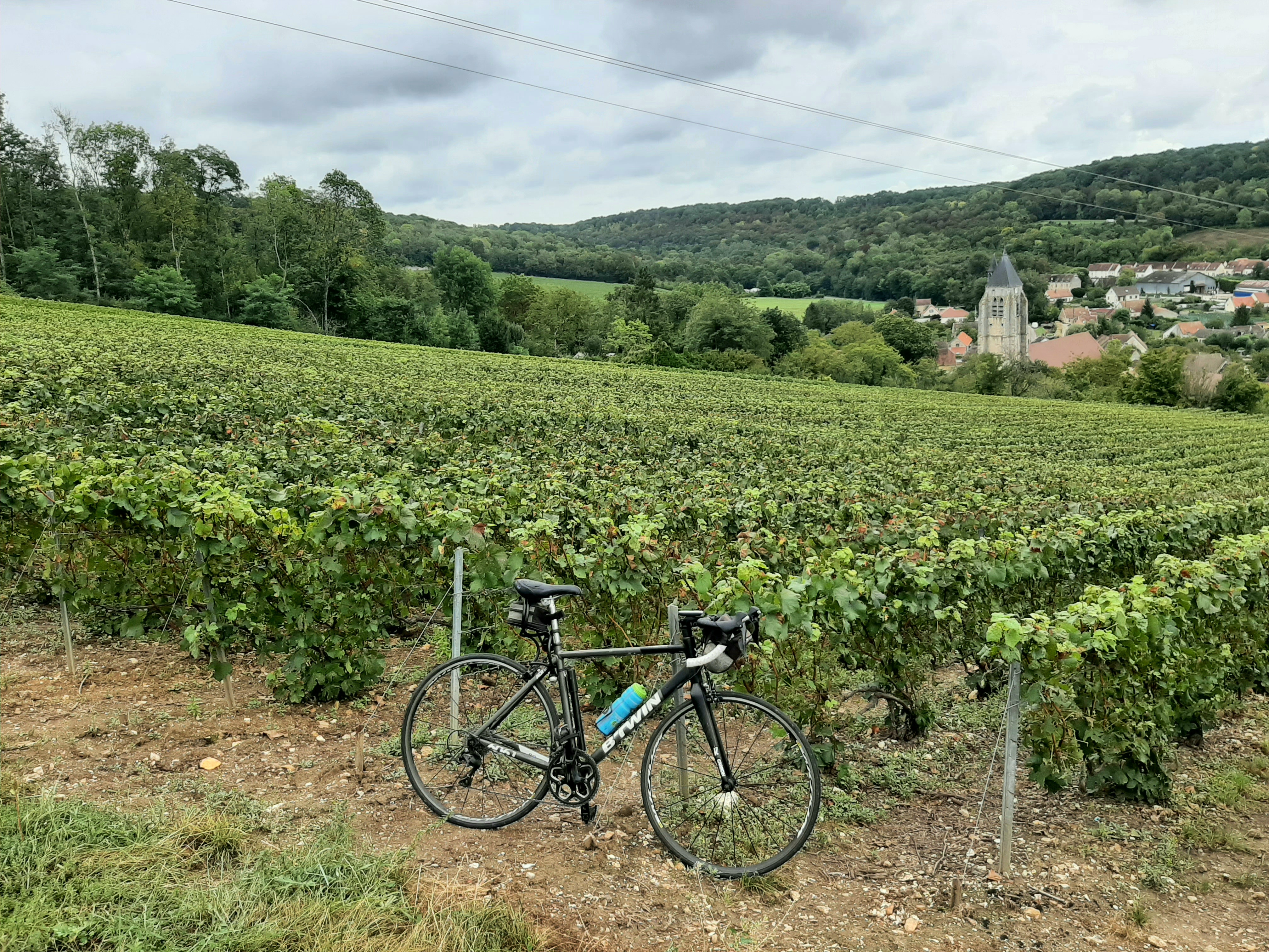 Photo n° 1 de l'avis de frozen58. fait le 18/09/2023 à 11:53