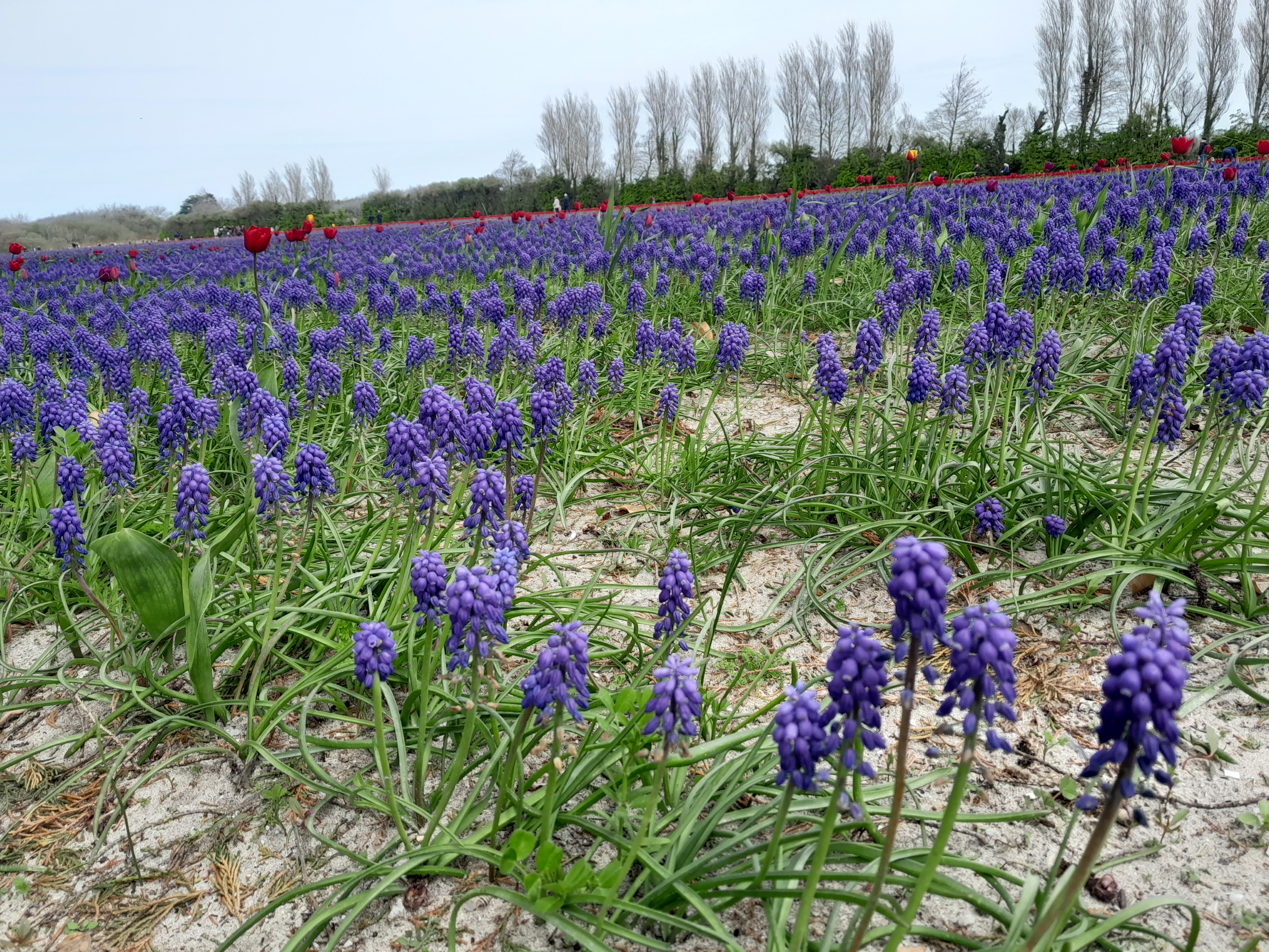 Photo n° 1 de l'avis de Amélie.e fait le 20/04/2023 à 05:00