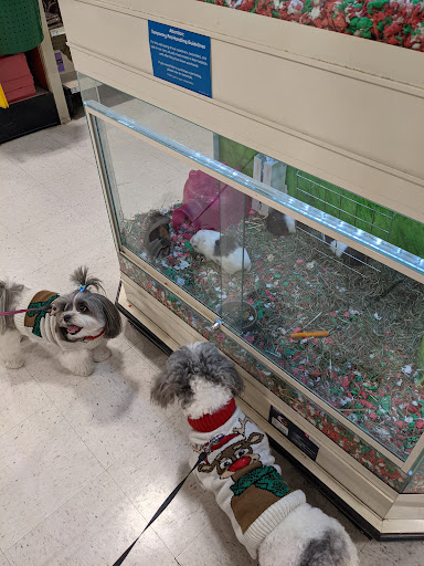 Pet Supply Store «PetSmart», reviews and photos, 2477 Naglee Rd, Tracy, CA 95304, USA