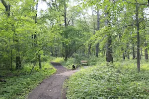 Ojibway Prairie Provincial Nature Reserve image