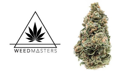 Weedmasters