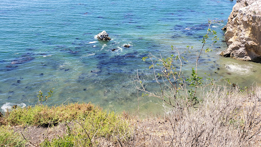 Nature Preserve «Pismo Preserve», reviews and photos, Mattie Rd, Pismo Beach, CA 93449, USA