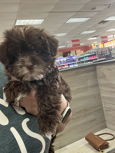 Pet Supply Store «Petland Dallas», reviews and photos, 11909 Preston Rd, Dallas, TX 75230, USA