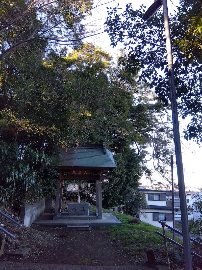 林神社のカゴノキ(厚木市指定天然記念物)