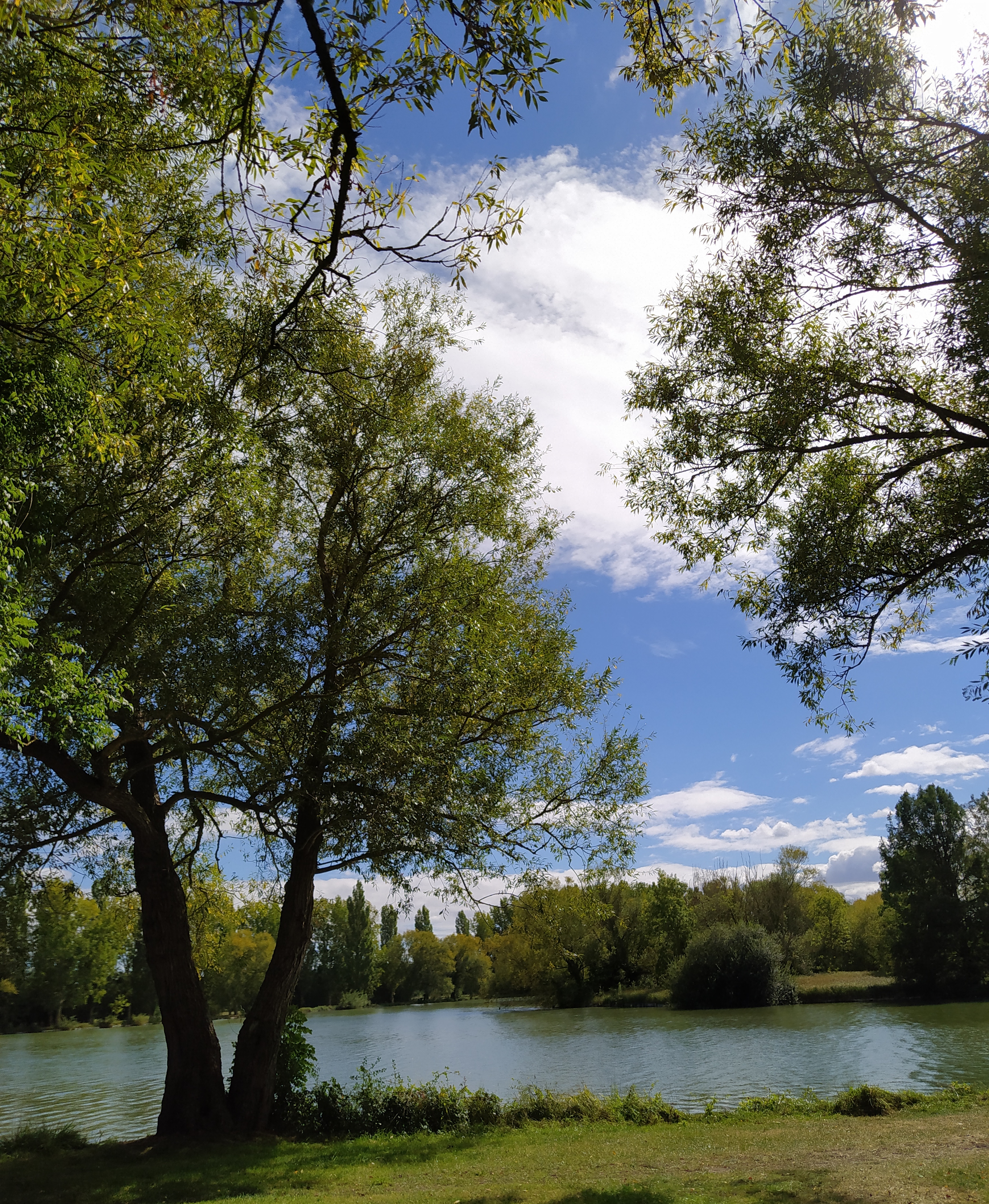 Photo n° 3 de l'avis de jackie.a fait le 10/09/2020 à 13:01