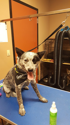 Pet Store «Pet Valu», reviews and photos, 2645 Shillington Rd, Sinking Spring, PA 19608, USA