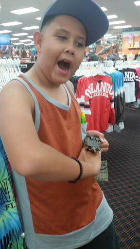 Grocery Store «Goodies Supermarket», reviews and photos, 8550 International Dr, Orlando, FL 32819, USA