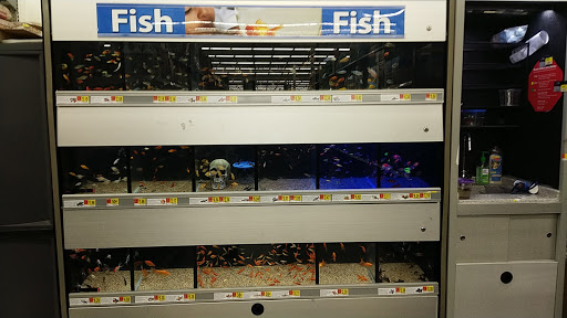 Discount Store «Walmart», reviews and photos, 1400 Farmington Ave, Bristol, CT 06010, USA